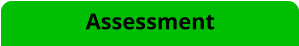 Assessment